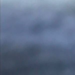 Meet your Posher, Molly